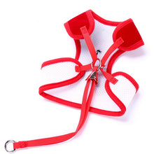 Load image into Gallery viewer, Bow Tie Pet Harness and Leash Set