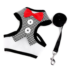 Load image into Gallery viewer, Bow Tie Pet Harness and Leash Set