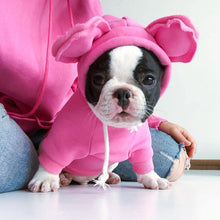Load image into Gallery viewer, Cozy Bear Shaped Hoodie for your Pets - San Frenchie