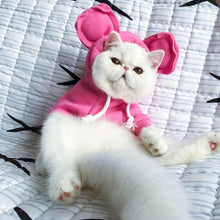 Load image into Gallery viewer, Cozy Bear Shaped Hoodie for your Pets - San Frenchie