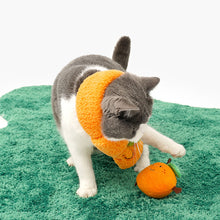 Load image into Gallery viewer, 3