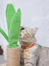 Load image into Gallery viewer, Potted Plants Scratching Post