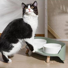 Load image into Gallery viewer, Bone China Ceramic Cat Double Bowl - San Frenchie