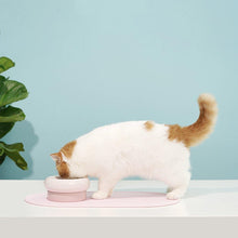 Load image into Gallery viewer, Baby Pink Pet Feeding Mat - San Frenchie