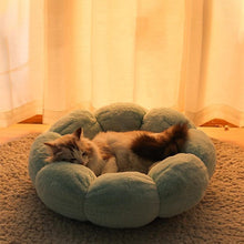 Load image into Gallery viewer, Flower Shaped Plush Cat Mat Bed - San Frenchie