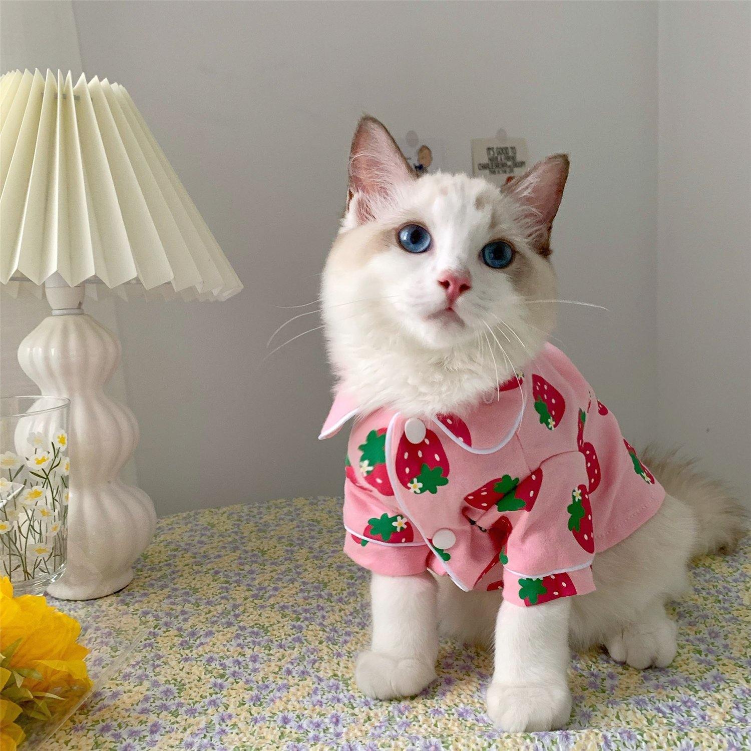 Cute Pink Cat Pajama – San Frenchie