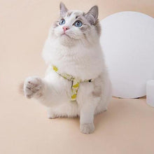 Load image into Gallery viewer, Fruit Style Pet Harness - San Frenchie