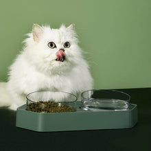 Load image into Gallery viewer, Golden 8° Cat Bowl - San Frenchie