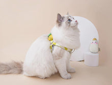 Load image into Gallery viewer, Fruit Style Pet Harness - San Frenchie