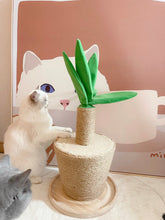 Load image into Gallery viewer, Potted Plants Scratching Post