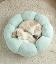 Load image into Gallery viewer, Flower Shaped Plush Cat Mat Bed - San Frenchie