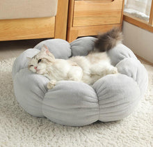 Load image into Gallery viewer, Flower Shaped Plush Cat Mat Bed - San Frenchie