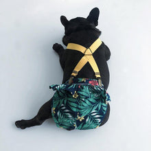 Load image into Gallery viewer, Adjustable Sanitary Pantie for Dogs - San Frenchie