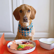 Load image into Gallery viewer, Adorable Teddy Bear Styled Pet Bib - San Frenchie