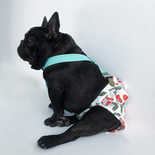 Load image into Gallery viewer, Adjustable Sanitary Pantie for Dogs - San Frenchie
