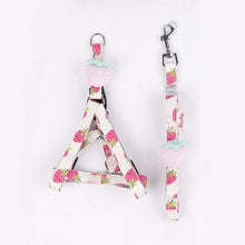 Load image into Gallery viewer, Fruit Style Pet Harness - San Frenchie