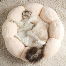 Load image into Gallery viewer, Flower Shaped Plush Cat Mat Bed - San Frenchie