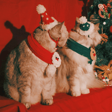 Load image into Gallery viewer, Handmade Custom Christmas Santa Claus Accessories - San Frenchie