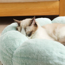 Load image into Gallery viewer, Flower Shaped Plush Cat Mat Bed - San Frenchie
