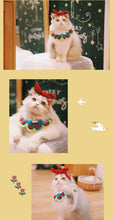 Load image into Gallery viewer, Hand-Knitted Snow White Pet Collar - San Frenchie