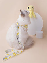 Load image into Gallery viewer, Fruit Series Pet Harness Vest & Leash - San Frenchie