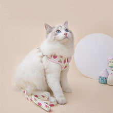 Load image into Gallery viewer, Fruit Series Pet Harness Vest & Leash - San Frenchie