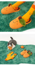 Load image into Gallery viewer, Matching Pet and Owner Orange Costumes