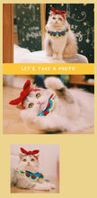Load image into Gallery viewer, Hand-Knitted Snow White Pet Collar - San Frenchie