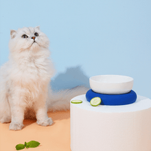 Load image into Gallery viewer, Colorful Ceramic Cat Bowl with Non-slip Base - San Frenchie