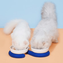 Load image into Gallery viewer, Colorful Ceramic Cat Bowl with Non-slip Base - San Frenchie