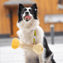 Load image into Gallery viewer, Portable Dog Drinking Bottle - San Frenchie
