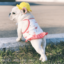 Load image into Gallery viewer, Summer Ready Pet Dress Set - San Frenchie