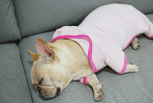 Load image into Gallery viewer, Fancy Pink Pet Sleeping Clothes - San Frenchie