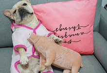 Load image into Gallery viewer, Fancy Pink Pet Sleeping Clothes - San Frenchie