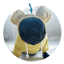Load image into Gallery viewer, Cozy Bear Shaped Hoodie for your Pets - San Frenchie