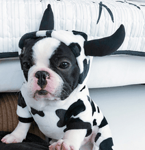 Load image into Gallery viewer, Cow Shaped Pet Hoodie Custom - San Frenchie