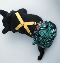 Load image into Gallery viewer, Adjustable Sanitary Pantie for Dogs - San Frenchie