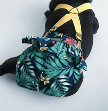 Load image into Gallery viewer, Adjustable Sanitary Pantie for Dogs - San Frenchie