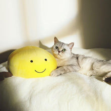 Load image into Gallery viewer, Fried Egg Shaped Pet Mat Bed - San Frenchie