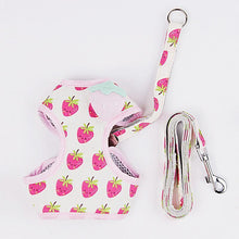 Load image into Gallery viewer, Fruit Series Pet Harness Vest & Leash - San Frenchie