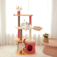 Load image into Gallery viewer, Calorie Cat Climbing Frame - San Frenchie
