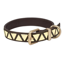 Load image into Gallery viewer, Durable Dog Harness Set - San Frenchie