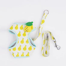 Load image into Gallery viewer, Fruit Series Pet Harness Vest & Leash - San Frenchie