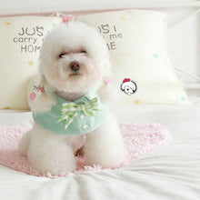 Load image into Gallery viewer, Formal Wear Bow Pet Bibs - San Frenchie