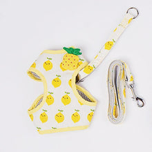 Load image into Gallery viewer, Fruit Series Pet Harness Vest & Leash - San Frenchie