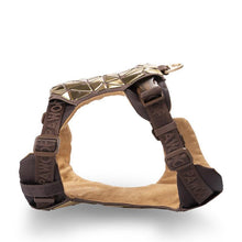 Load image into Gallery viewer, Durable Dog Harness Set - San Frenchie