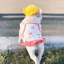 Load image into Gallery viewer, Summer Ready Pet Dress Set - San Frenchie