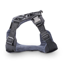 Load image into Gallery viewer, Durable Dog Harness Set - San Frenchie