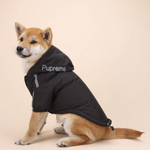 Load image into Gallery viewer, Waterproof Reflective Jacket - San Frenchie