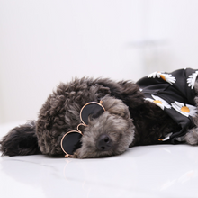 Load image into Gallery viewer, Sunglasses for Small Dogs and Cats - San Frenchie